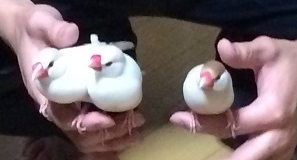 手乗り