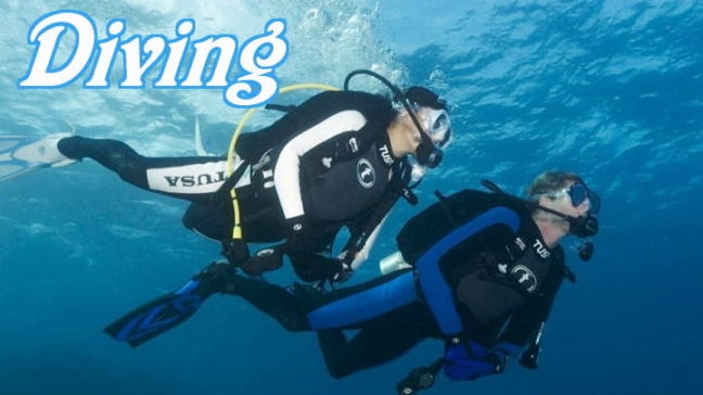 ダイビングTop