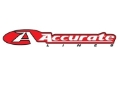 logo_13accurate