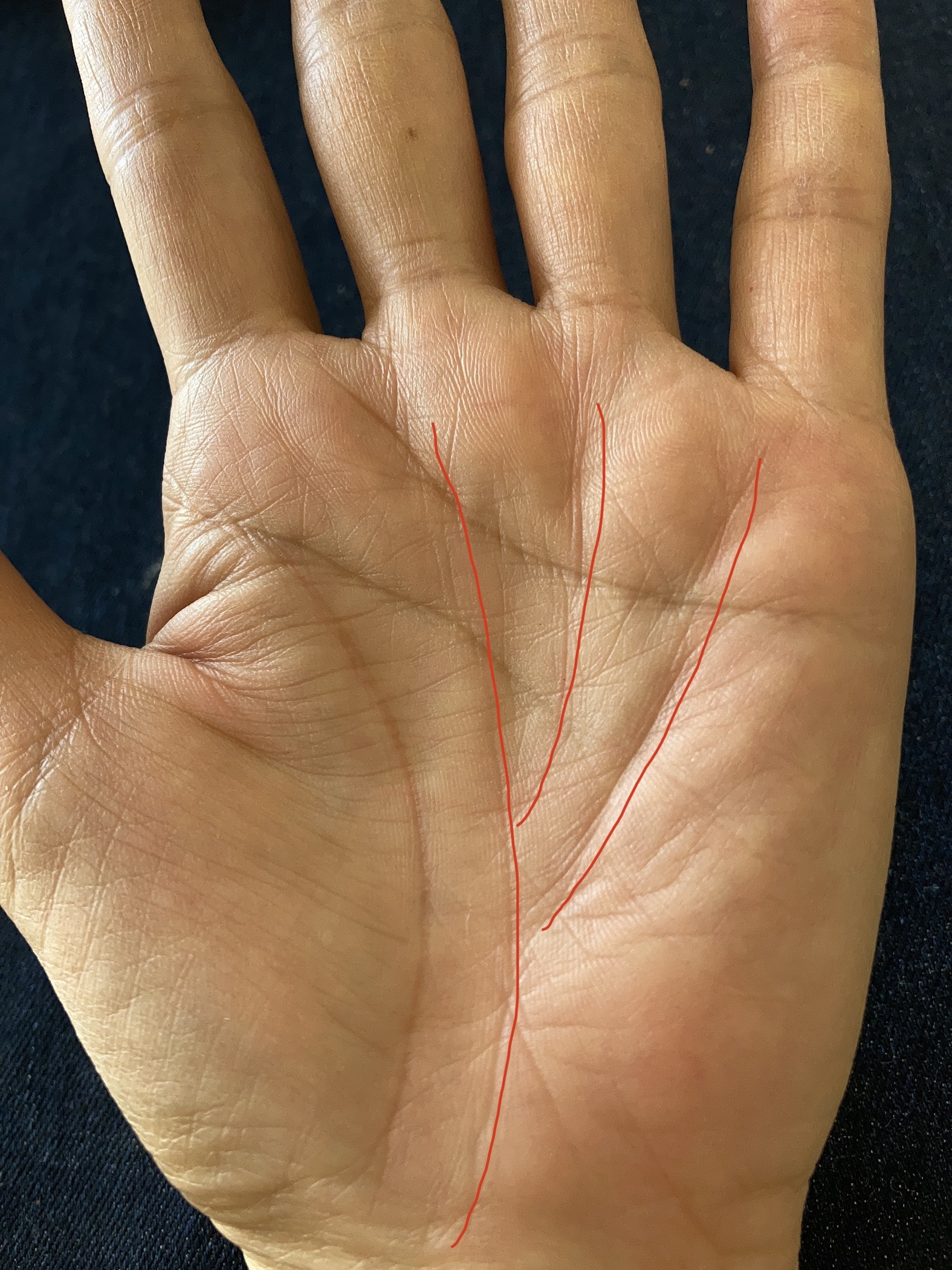 356B5D2C-6A4F-4923-AB8E-5523BC0C0E97