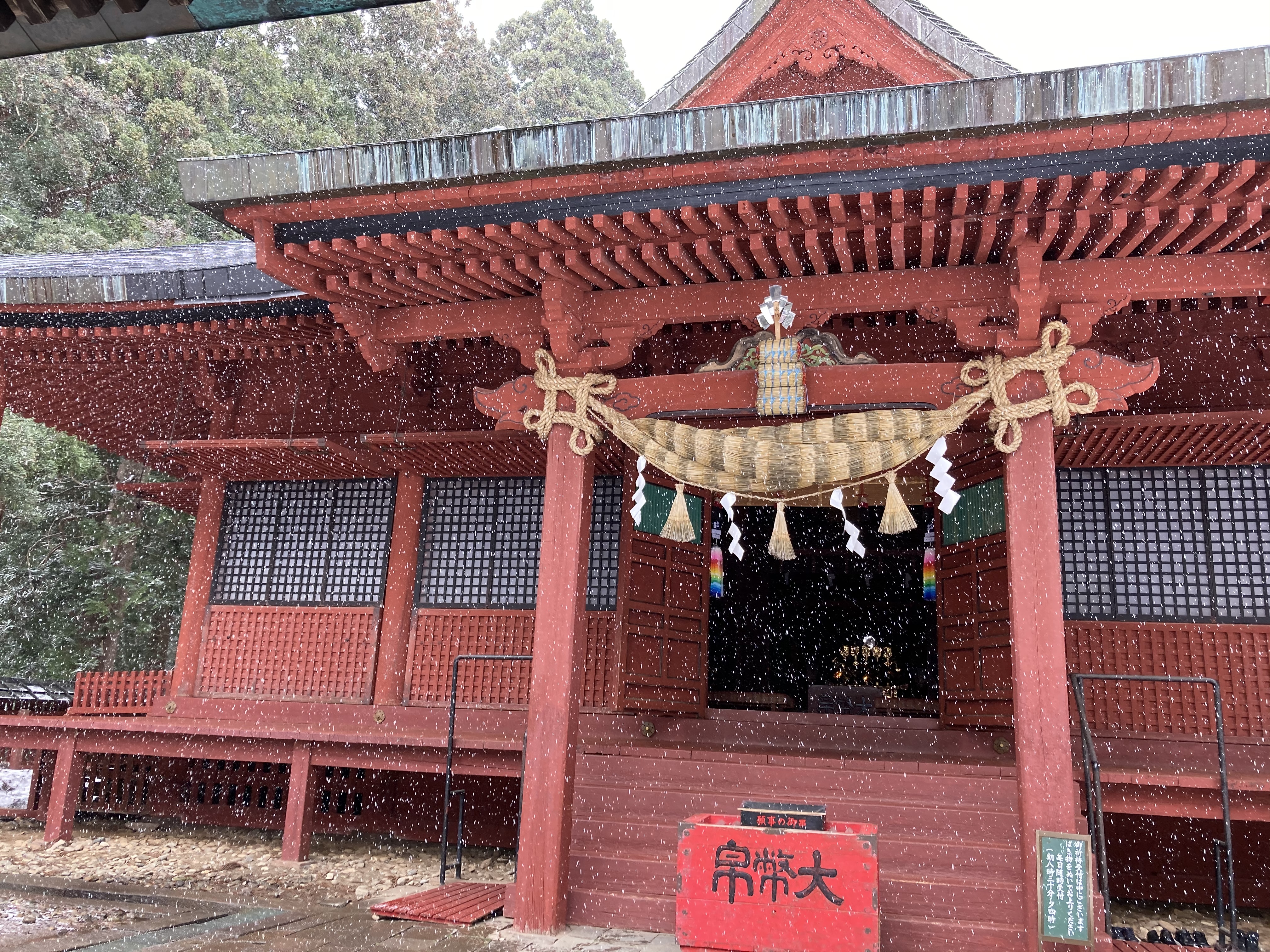 E52CA028-0A66-42E8-918F-997ABE5FE858