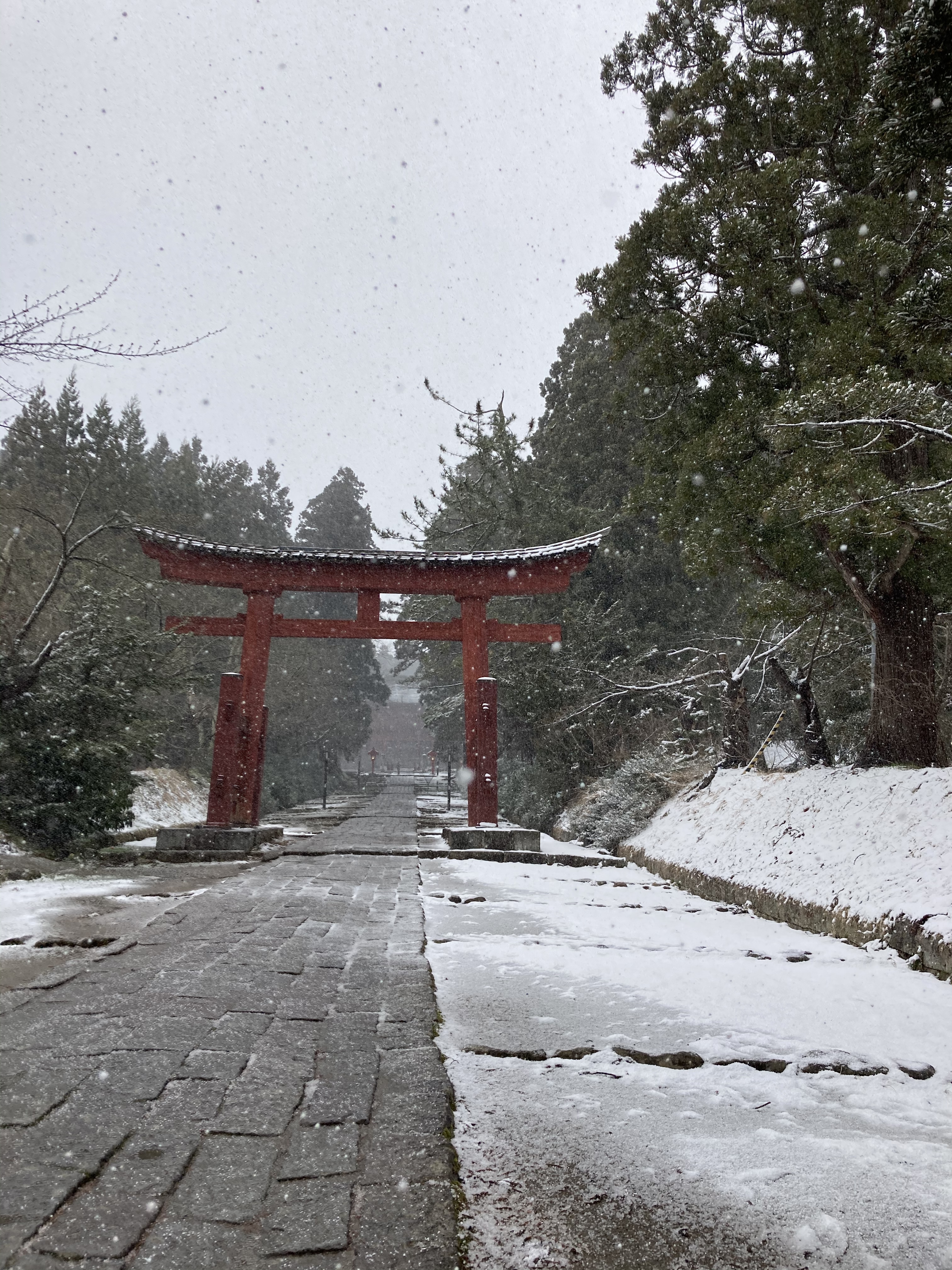 312DD2C0-35D9-4A75-B293-FE9BBC96D6EF