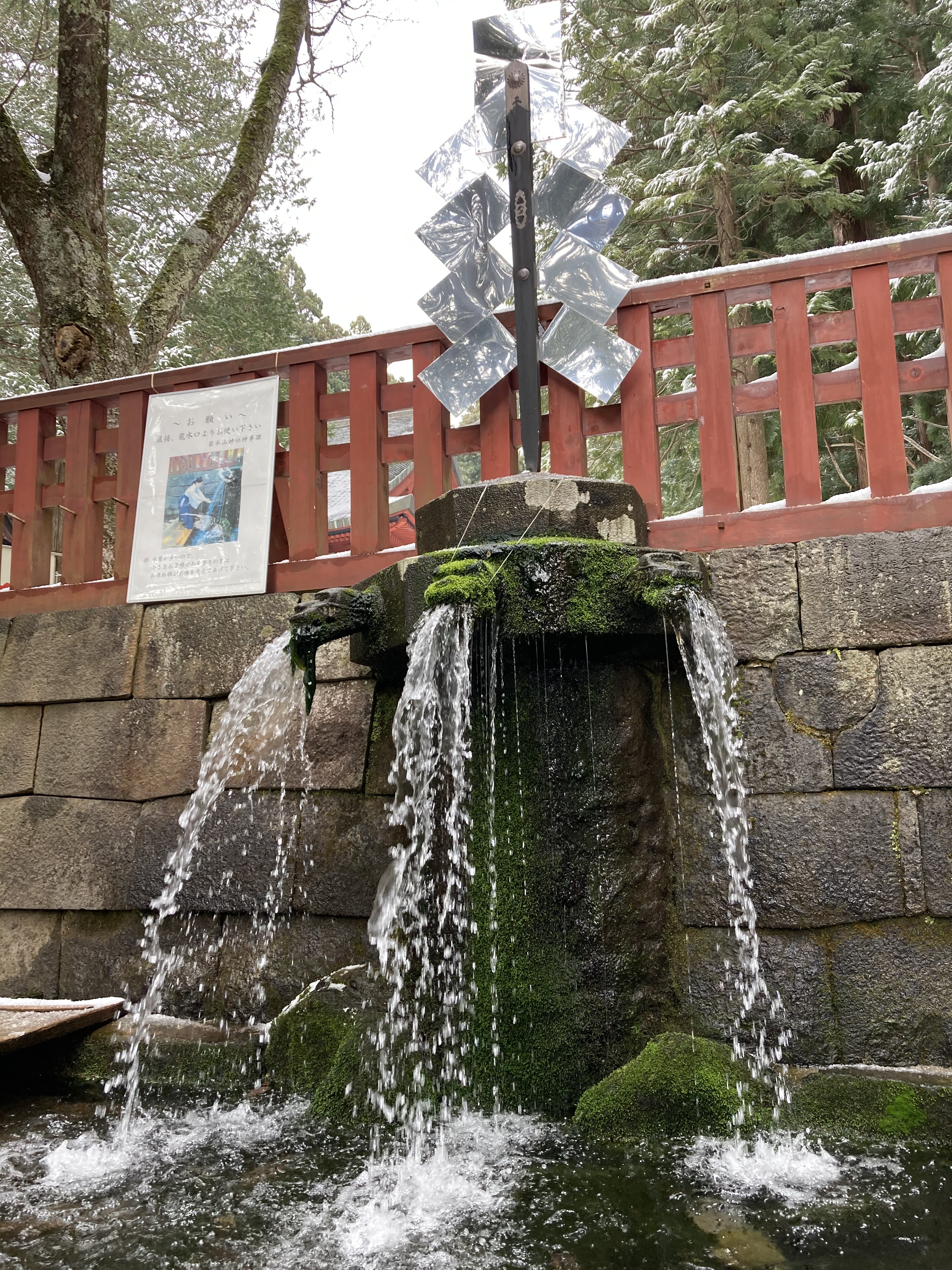 3668EA17-B07B-4541-A2F9-195A52DB7637