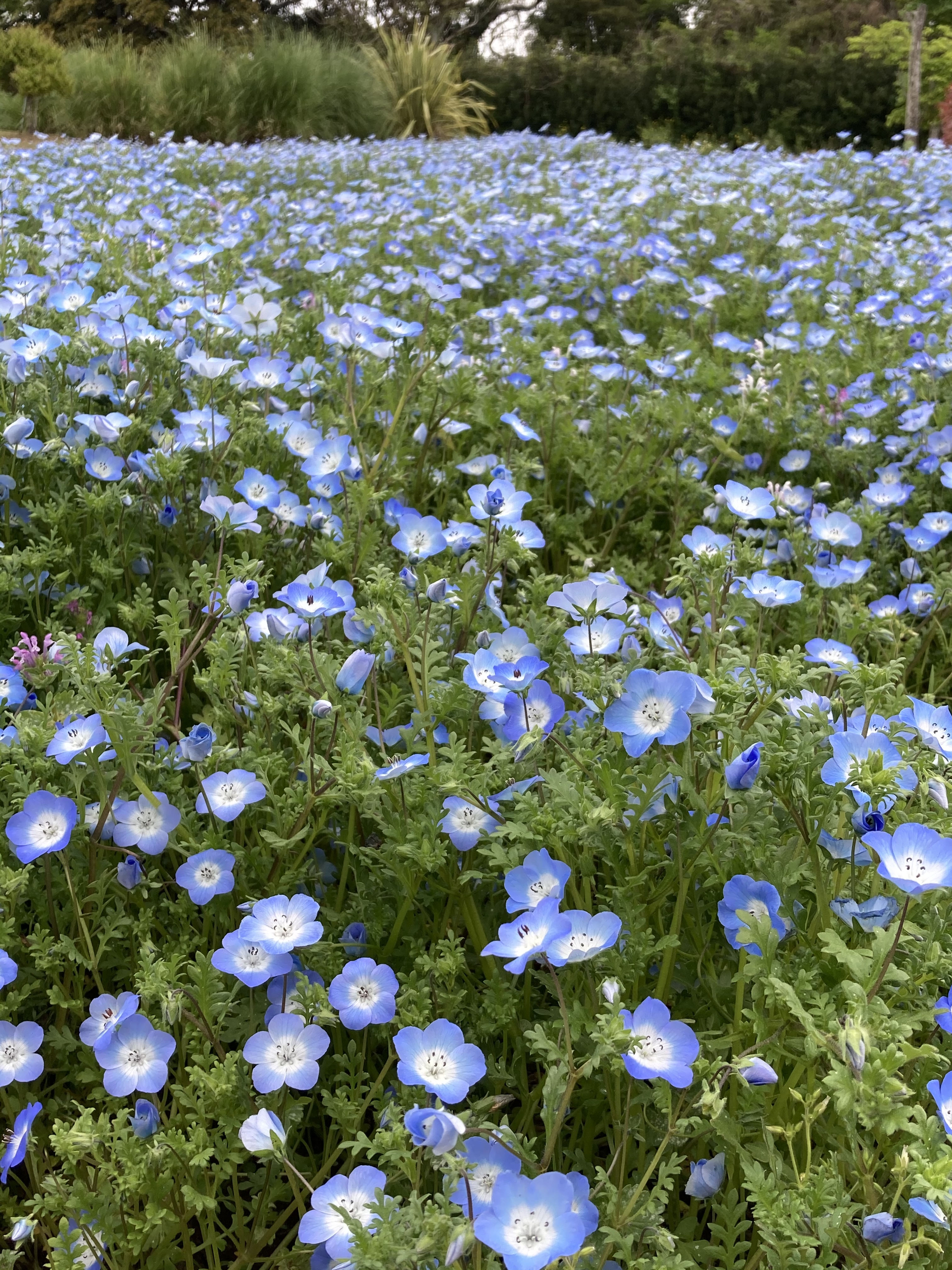 AEF55F5F-77DE-4F0C-8589-210A7A0CB288