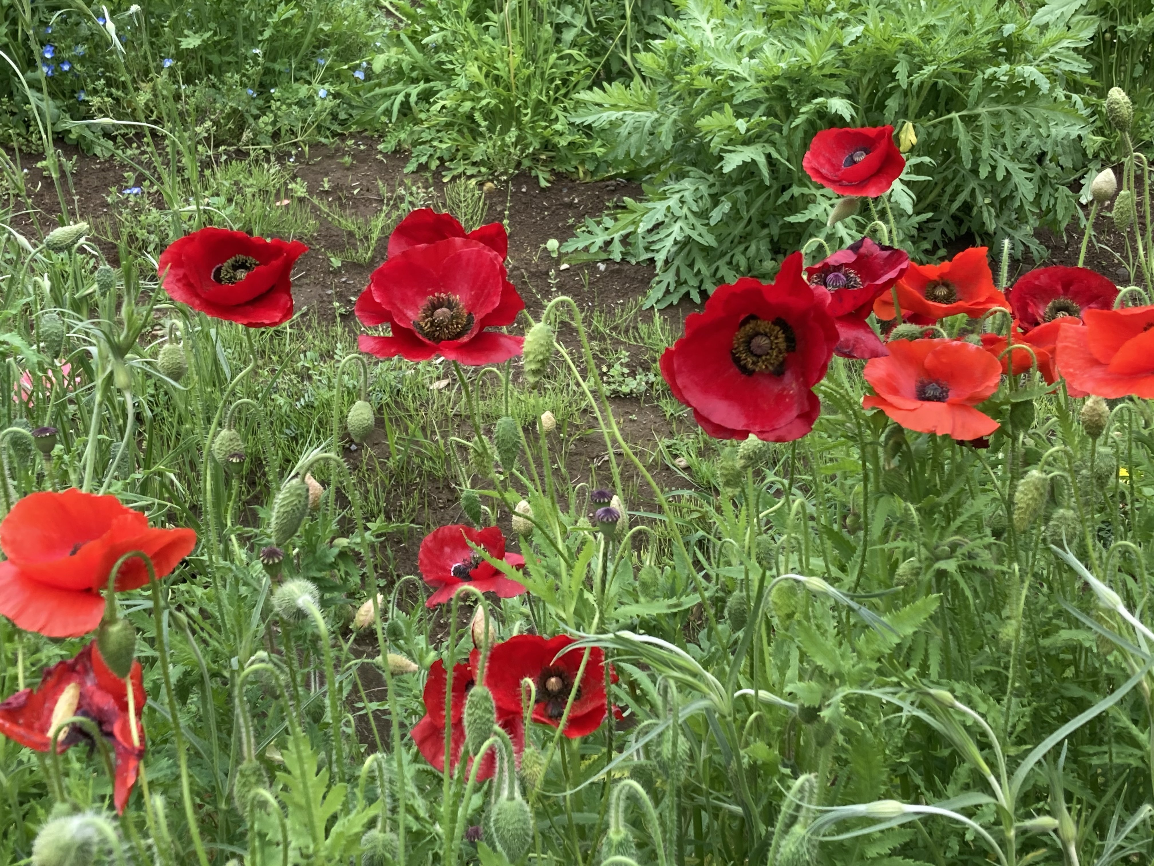 2C32C7AF-8BA8-4ECF-AB2A-31C366C3927F