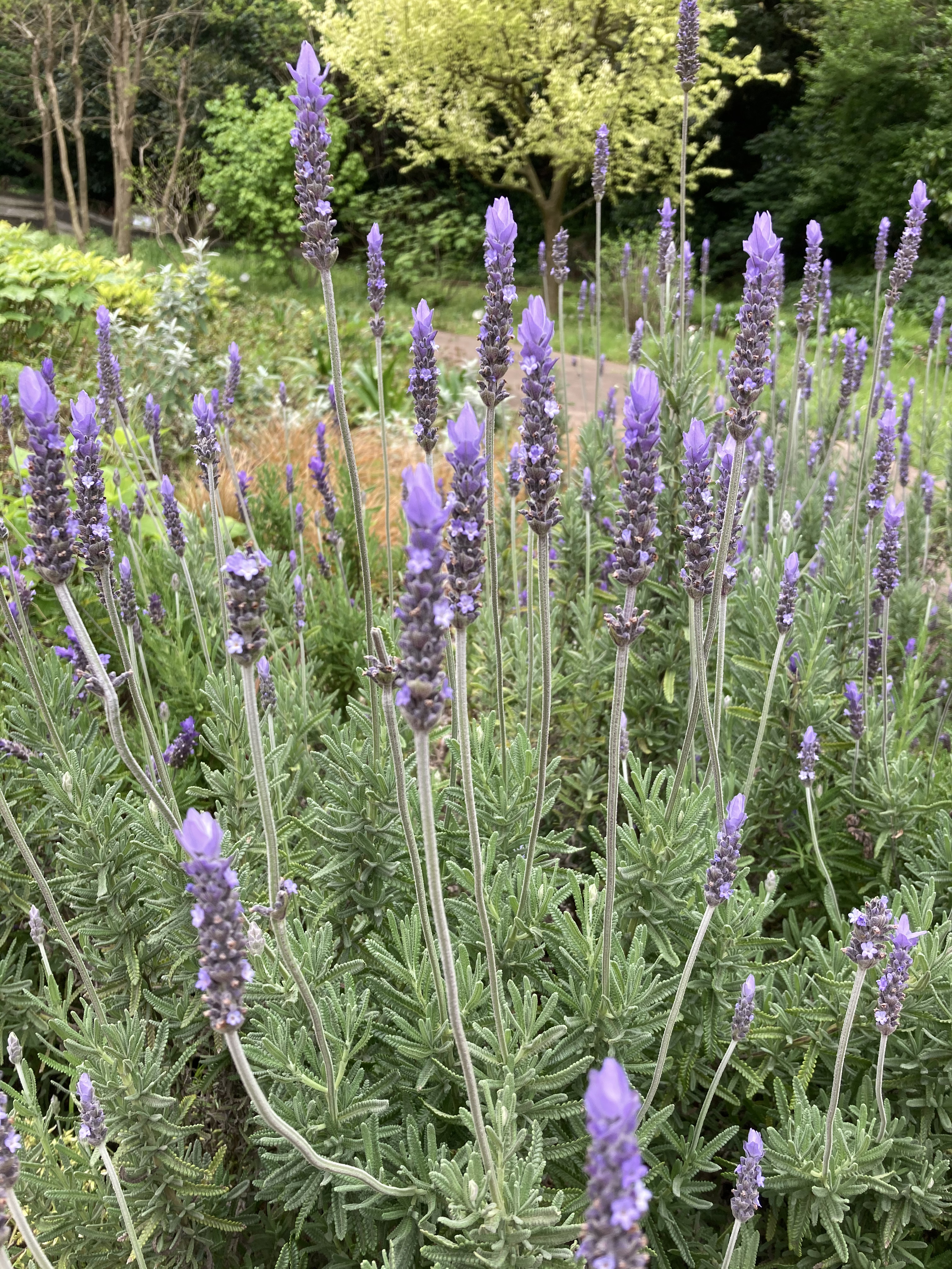 31D1D5E4-E085-42E3-954E-25FD1321DD6B