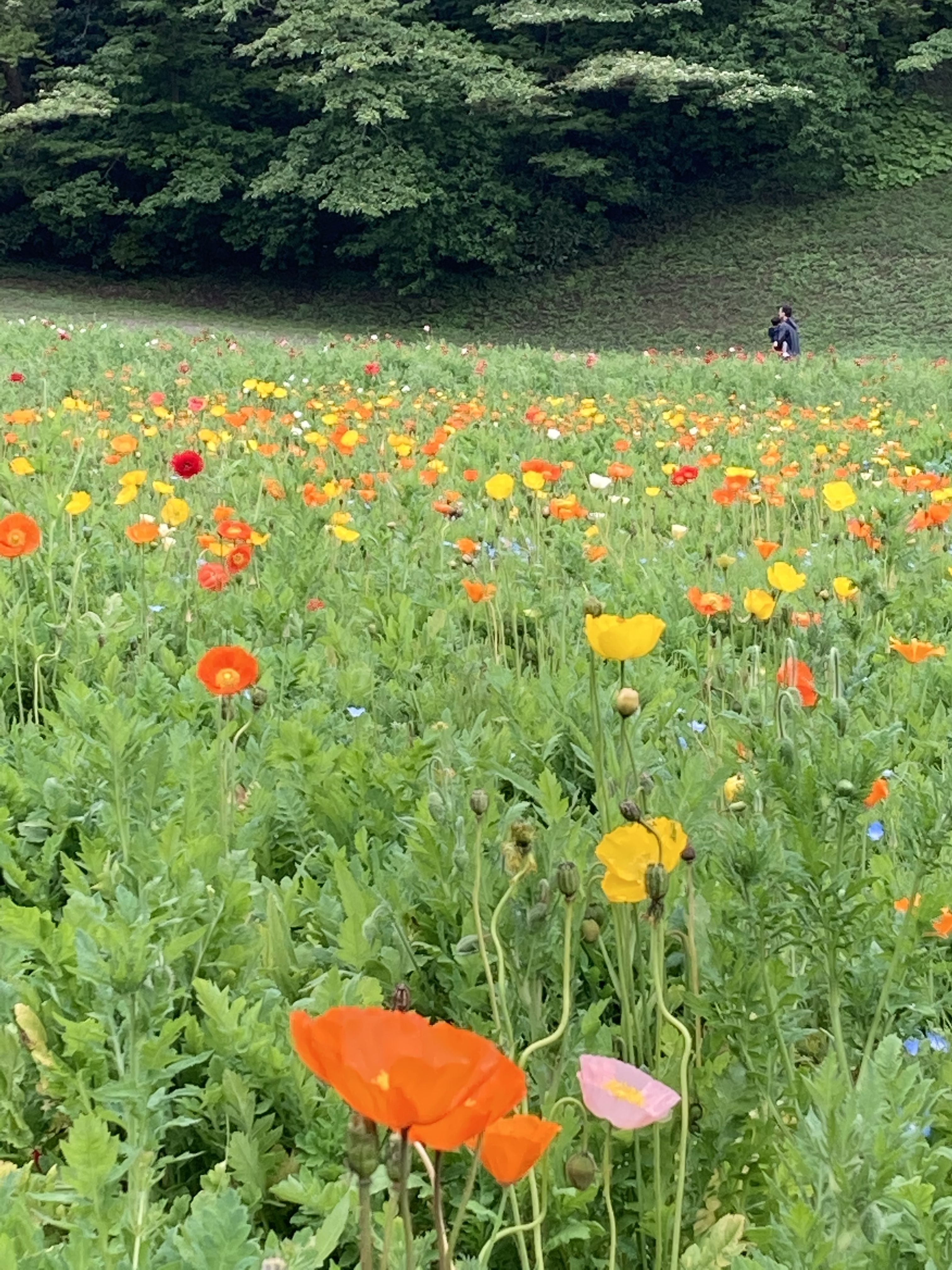 E8DB7FD3-86CB-46D1-8476-1620433F4C26