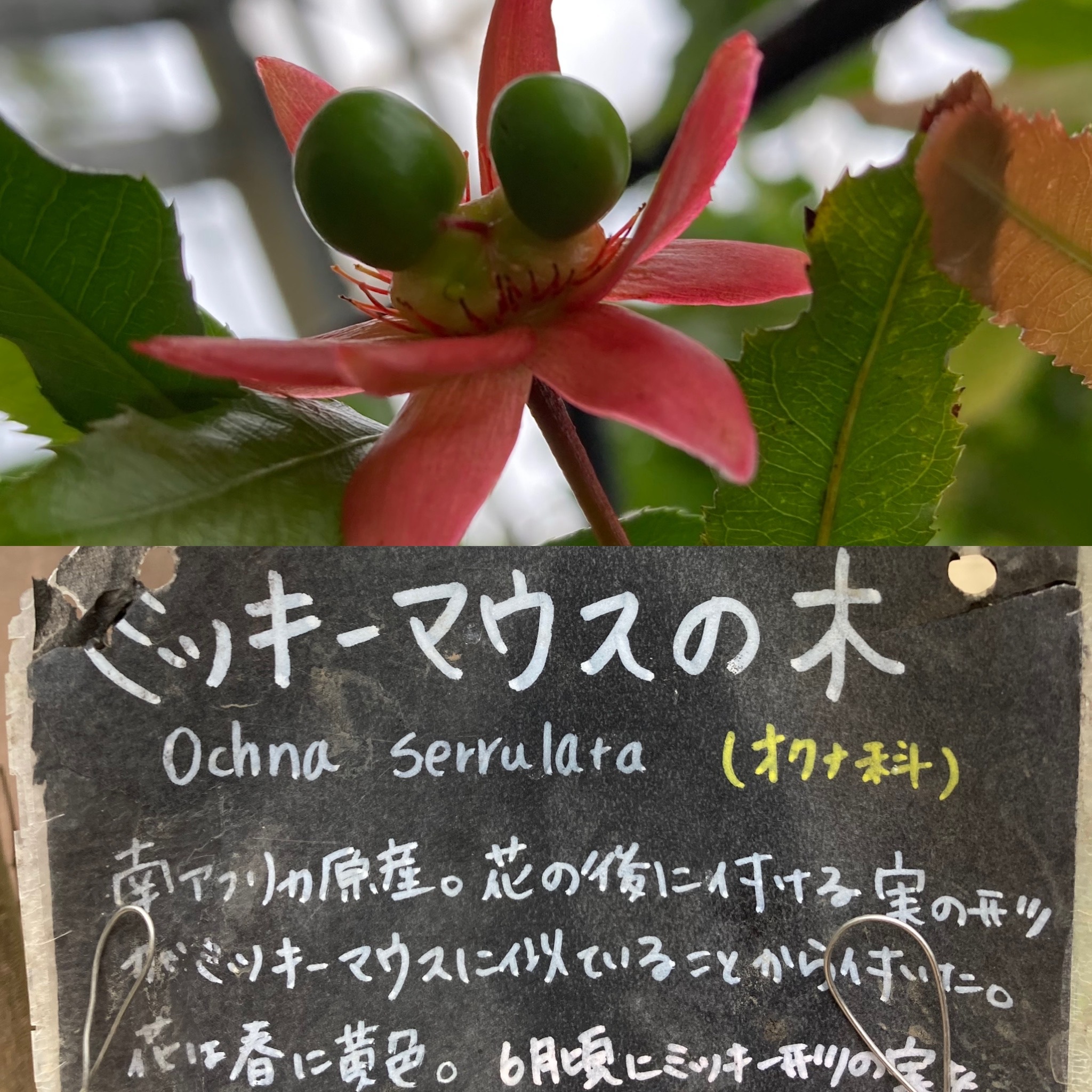 01428697-FA2F-4C7C-AB1D-9B880ADFF5A2