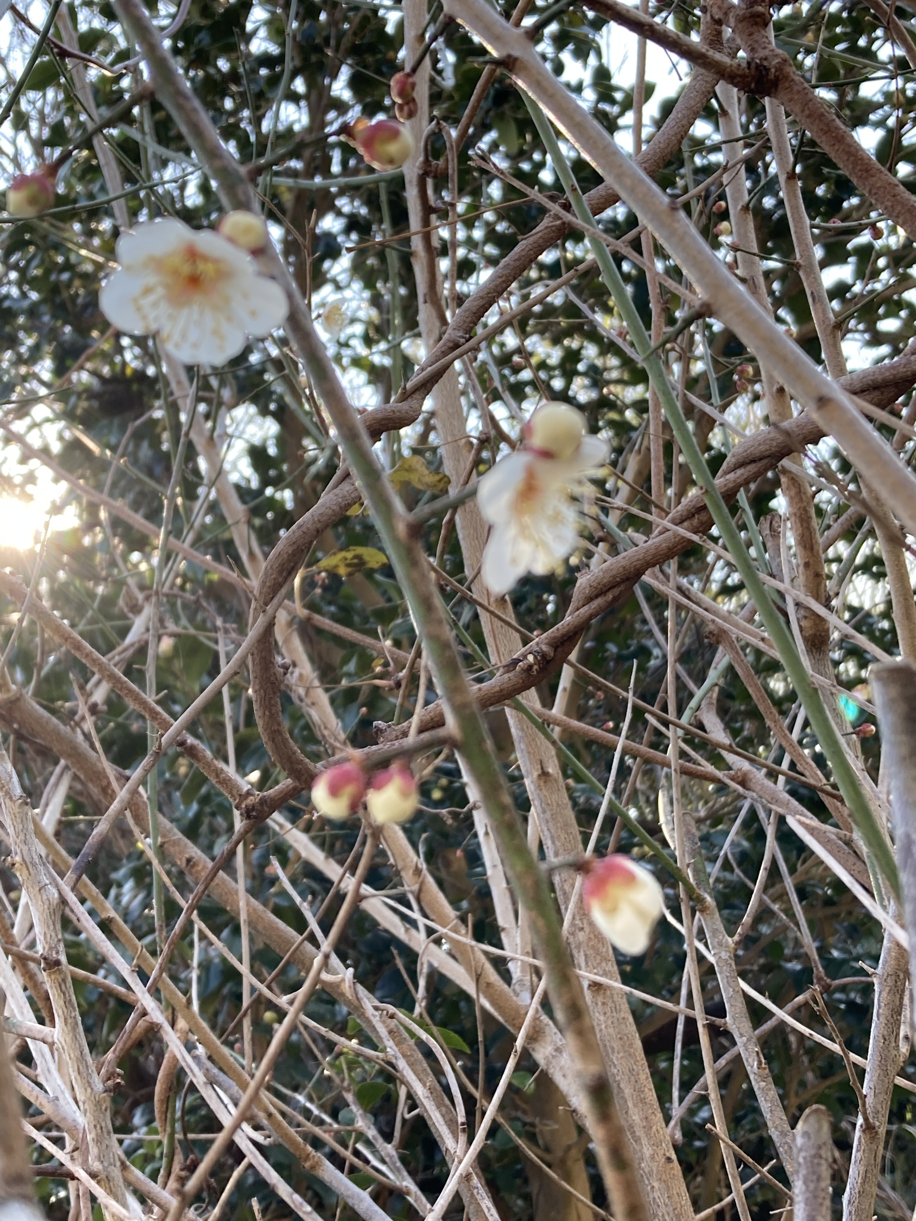 0D70A273-BD23-447A-9B94-A67FD4388F51