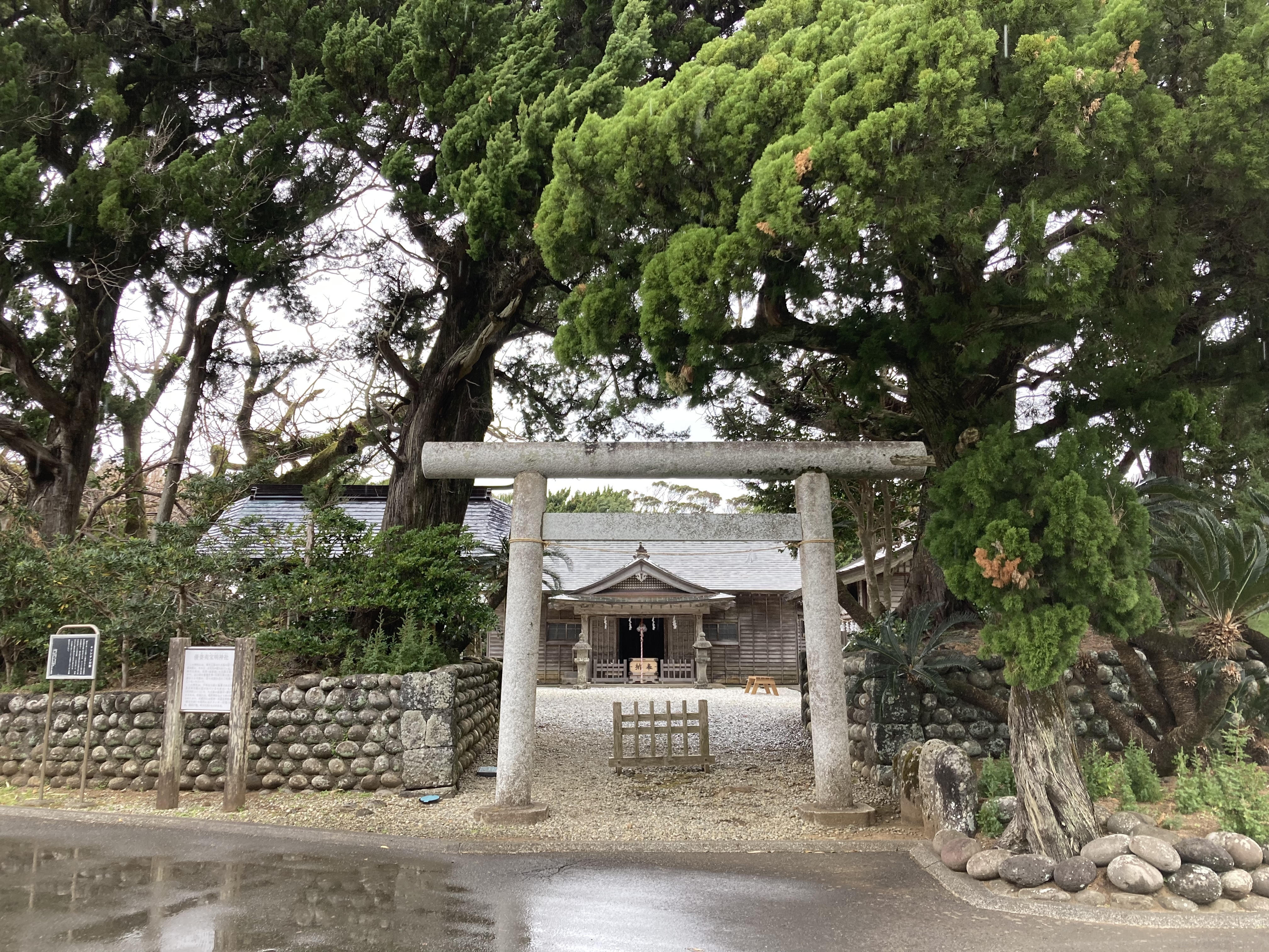 FE0E8B10-E604-4E85-8938-01FE4ED31D5C