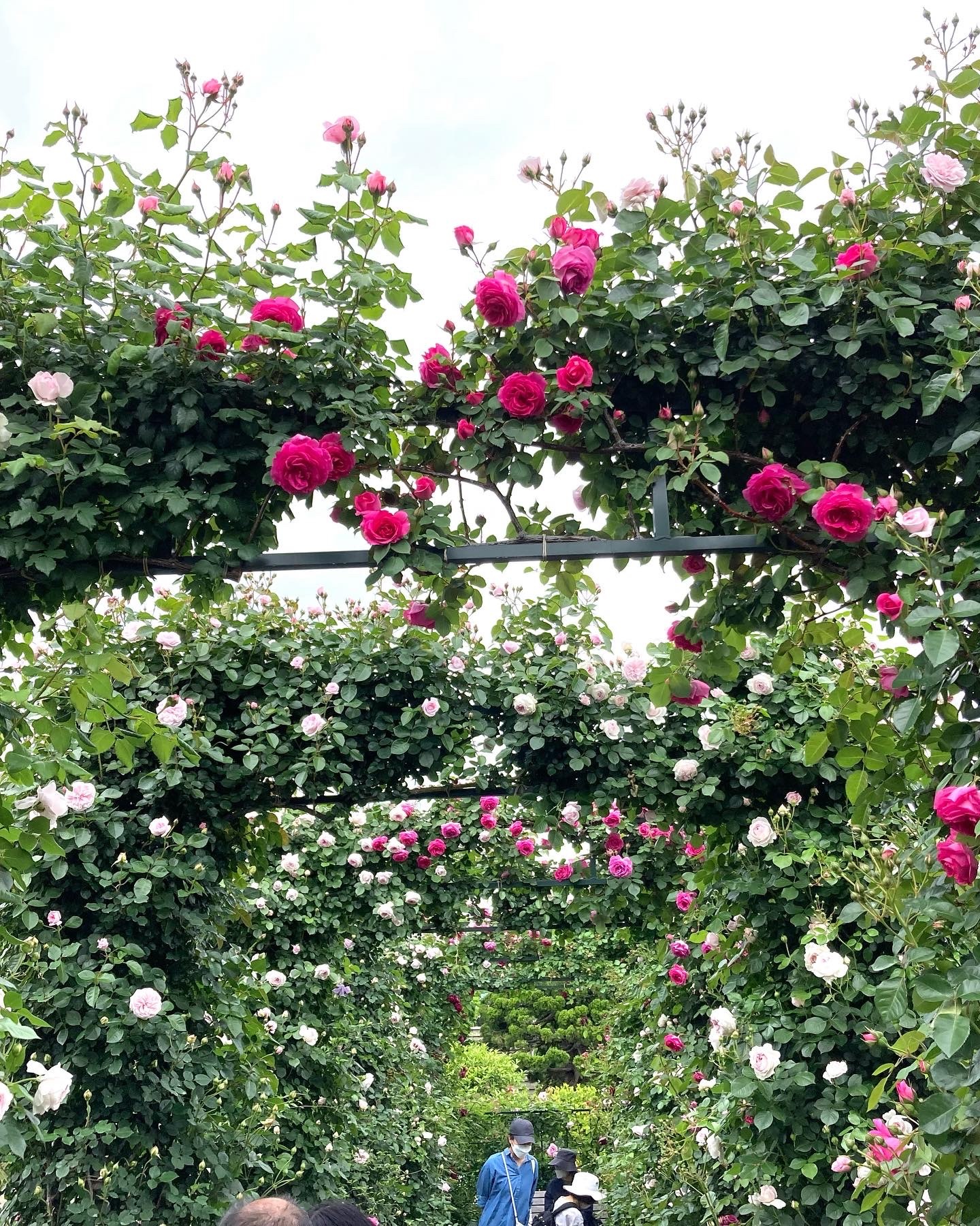 595B72B9-0188-4046-A371-24DBCA8F7B4D