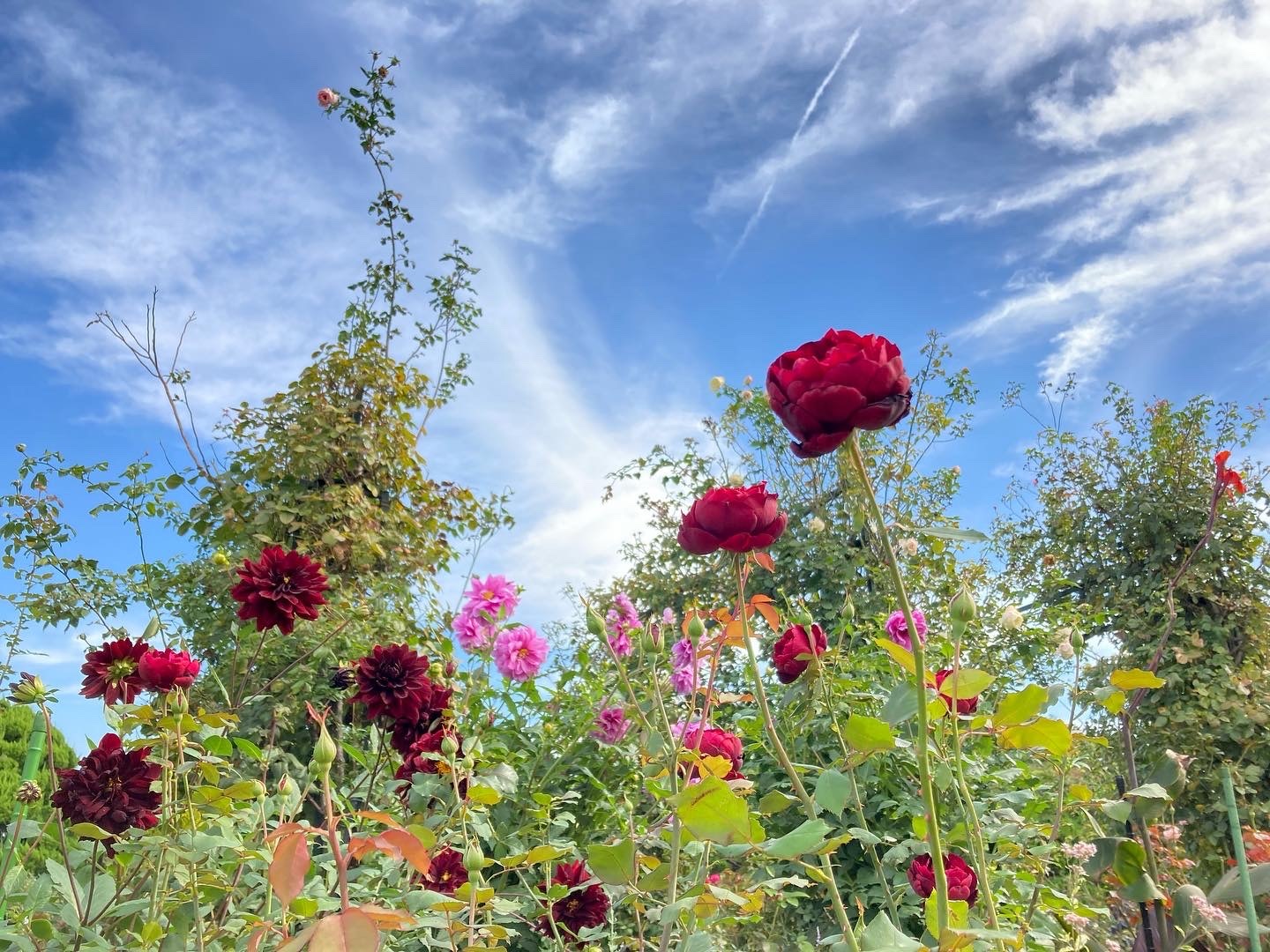 FD3E0545-9130-43D0-AAEA-3182859F0989