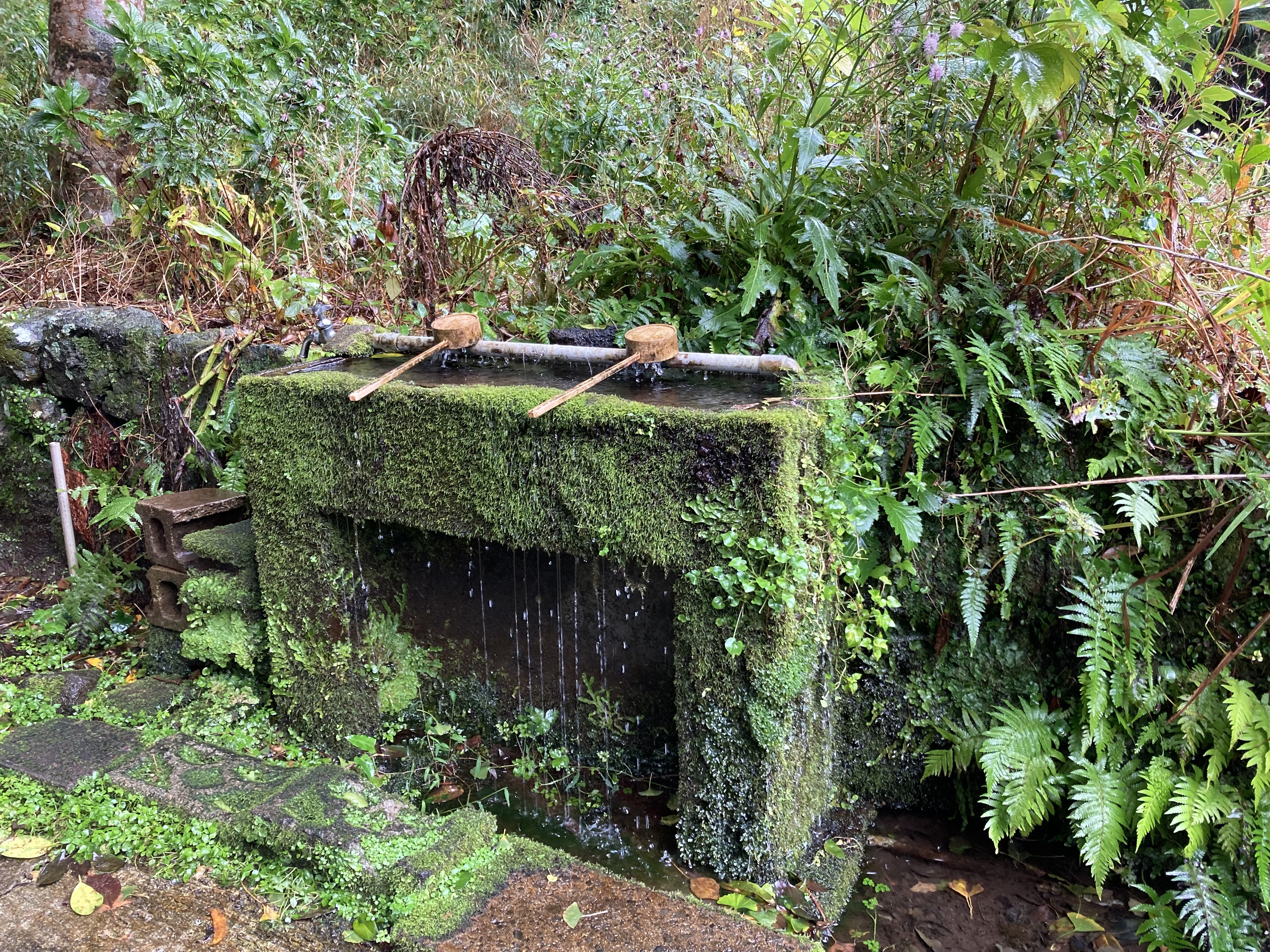 CFE355BF-943C-407F-9068-6E915BD45951