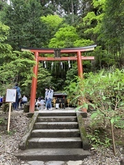 46F4538A-7836-4E29-A0F9-726730B0AA90