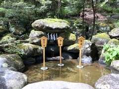 32292A08-B58B-413F-A906-B3C4BF03398B