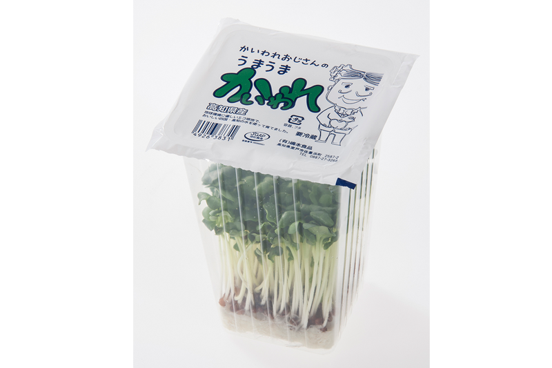 うまうまかいわれ横