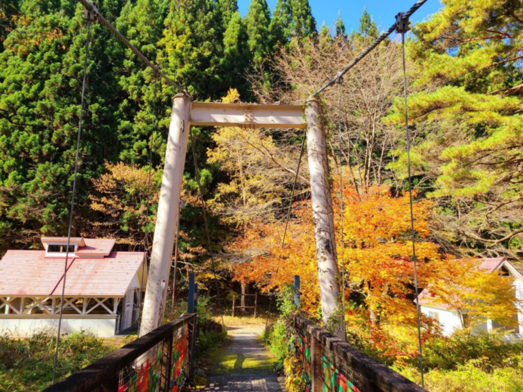 老谷の森とは