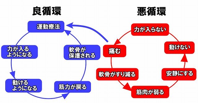 膝OA
