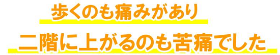 症例 1.9