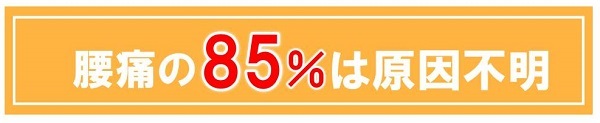 2腰痛の85%は原因不明