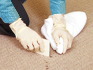 カーペットクリーニング手順1