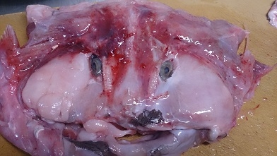 あんこう
