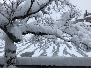 大雪