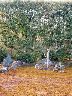 大徳寺 庭