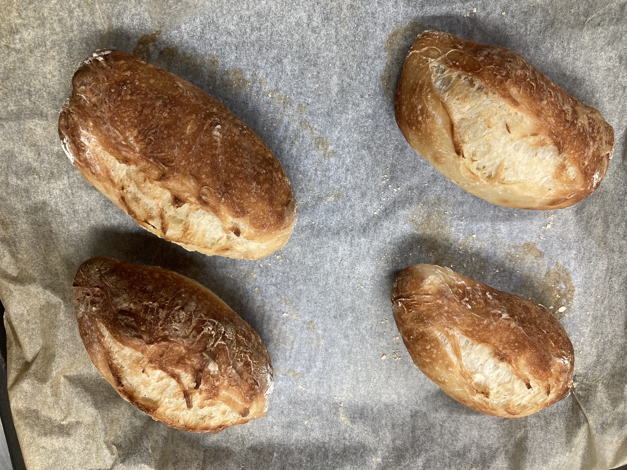 DB488334-2CCD-43E6-B536-C8C77F4A69F4