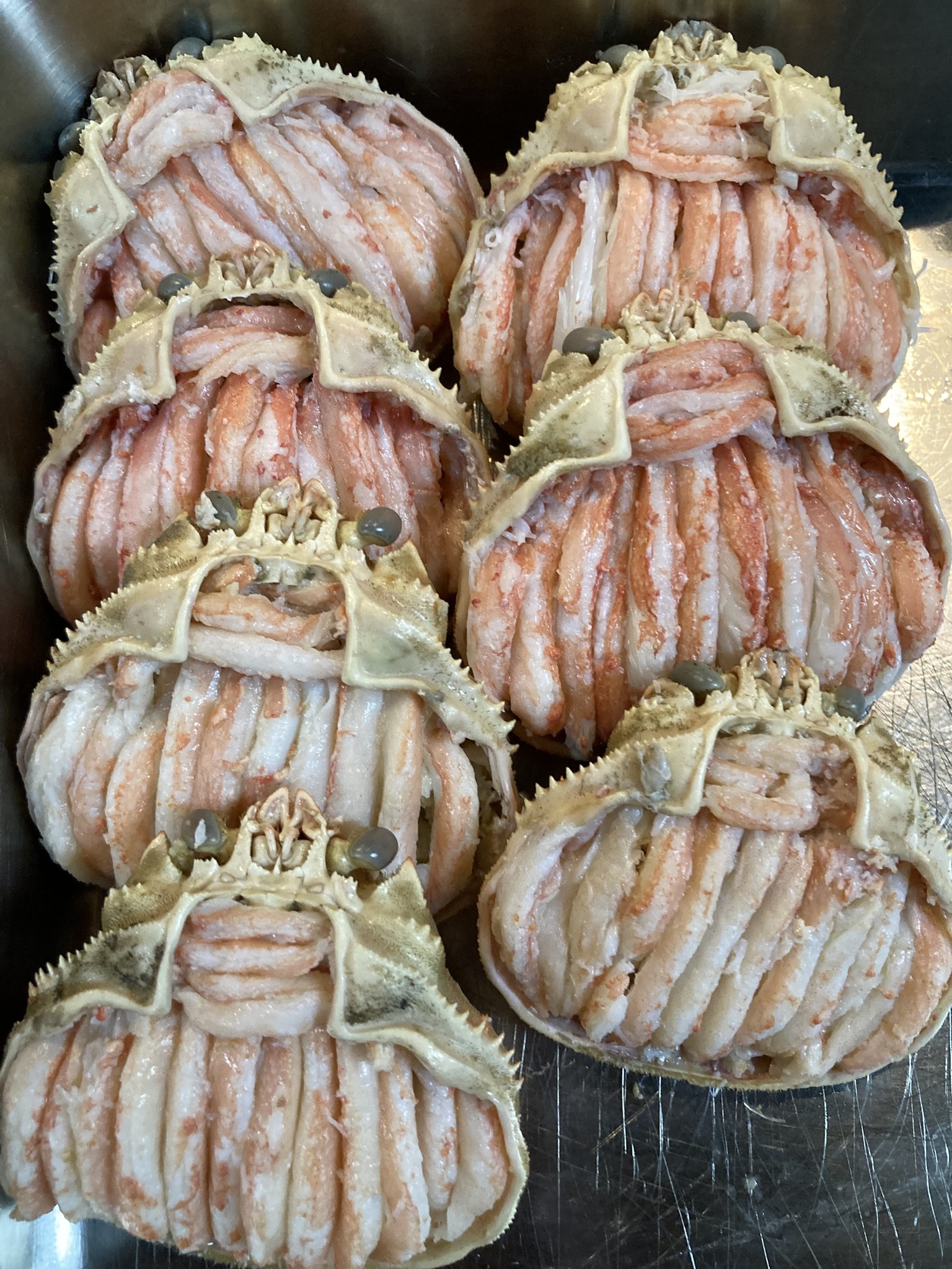 75B1E59F-208E-4E5E-94CF-A9E9F0C3CEA7