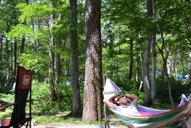 52a52a519ddf11e1b6fdc01a6e8a5a78_s