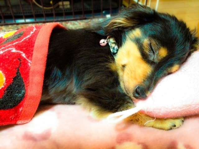 3c92765e14087e49ee82a3ce8be5ca32_s