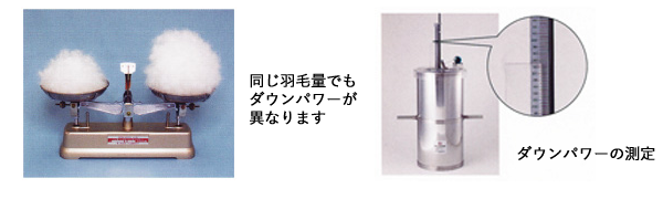 ダウンパワー