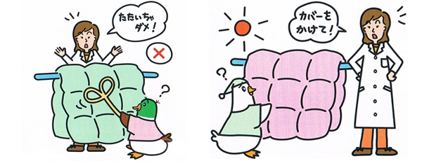 羽毛のお手入れ