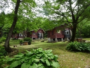 スライド1_コピー