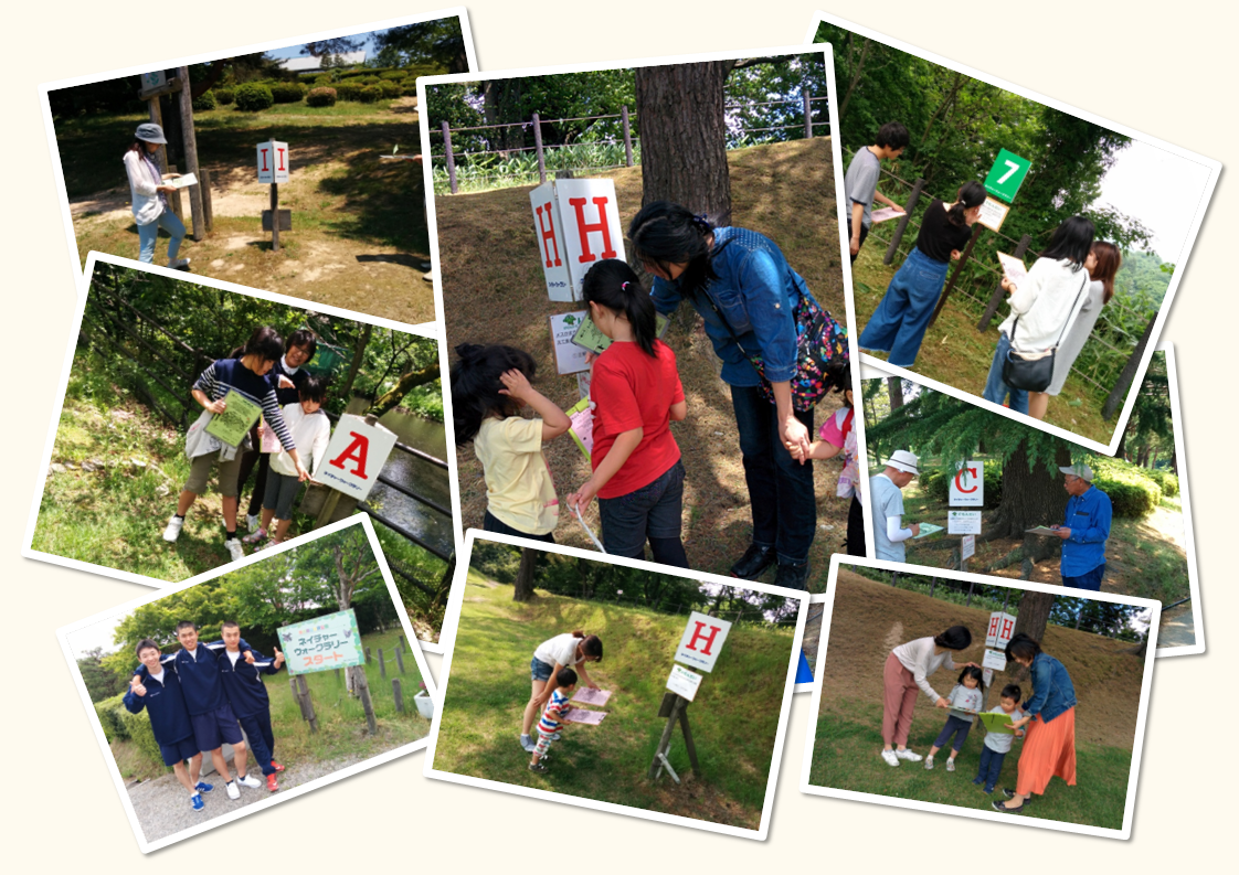 ウォークラリー