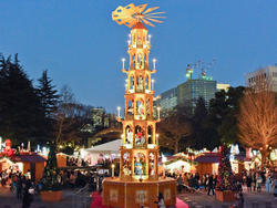 1232358IMG1