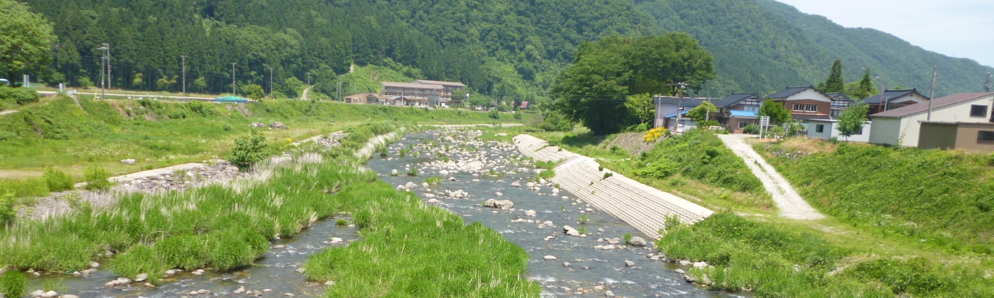 大日川若原下流