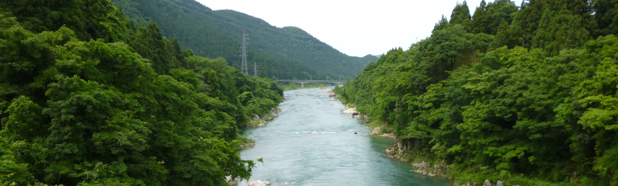 中島鉄道橋下流