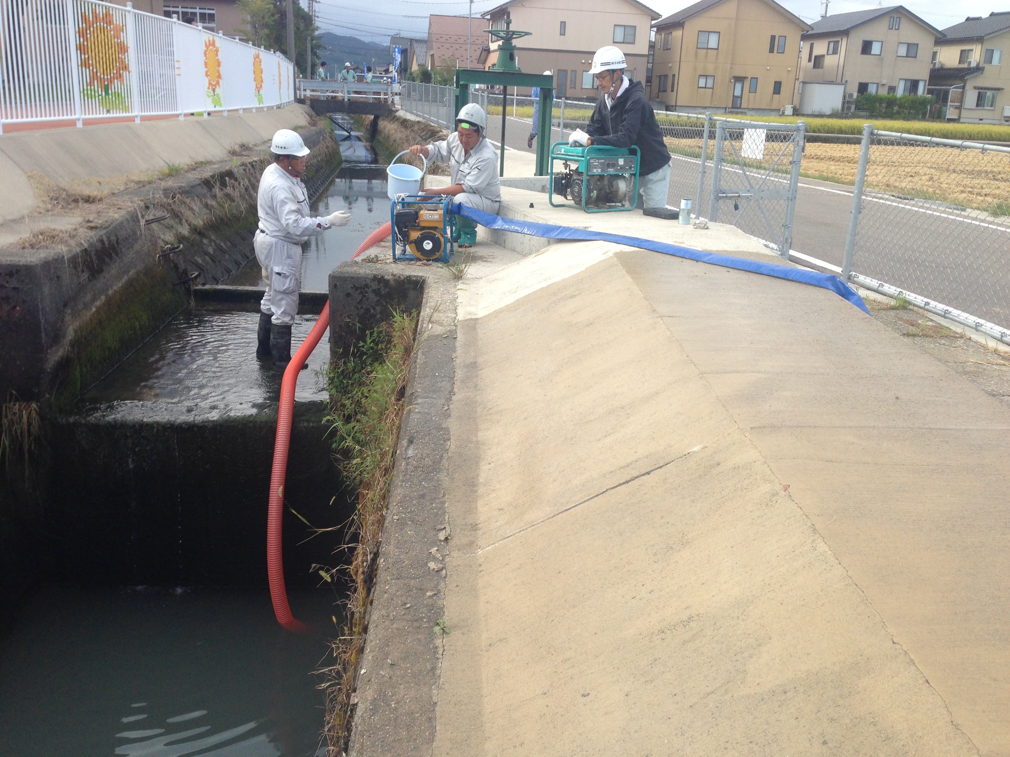 清掃ボランティア3