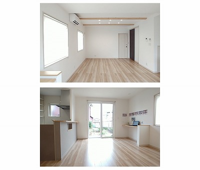 Collage_2024-08-26_11_35_49~2