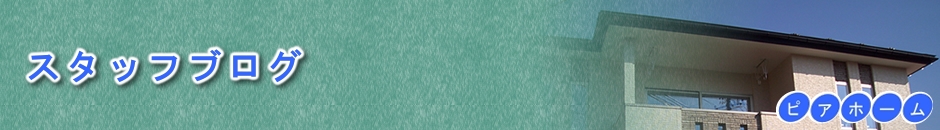 スタッフブログ