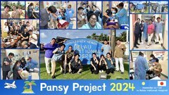 pansy2024