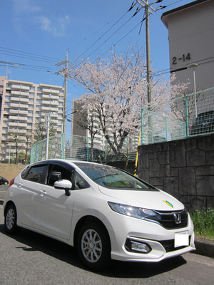 大阪府和泉市室堂町