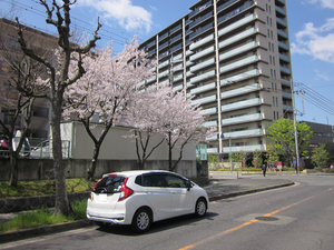 大阪府堺市南区鴨谷台付近