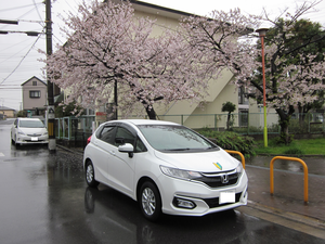 大阪府堺市北区常盤町