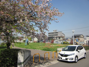 大阪府堺市北区常盤町