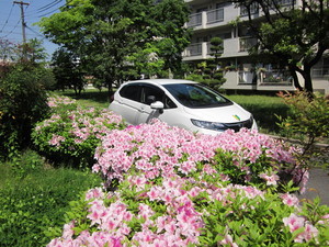 堺市北区新金岡町