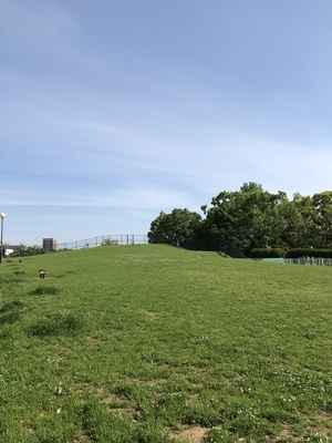 堺市堺区東雲公園