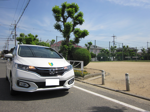 大阪府堺市東区日置荘